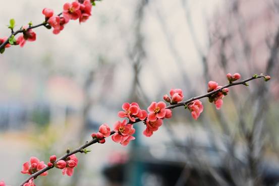 2018-03-19 10.07.44 1 拷贝